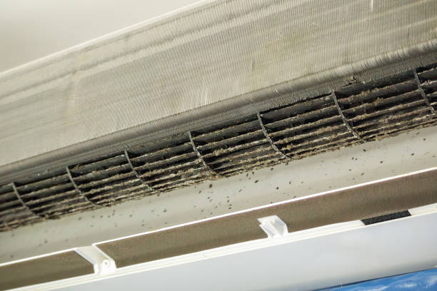 Best HVAC System Cleaning  in Soddy Daisy, TN